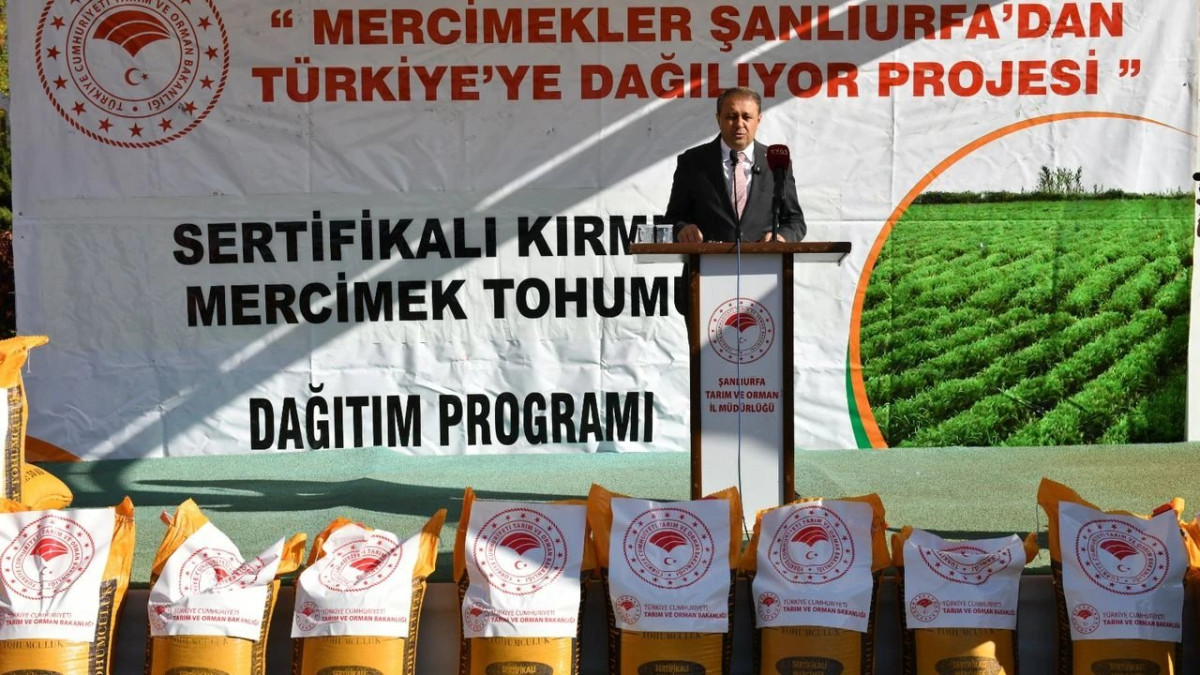 Şanlıurfa’da Mercimek Tohumu Dağıtımı Gerçekleşti 